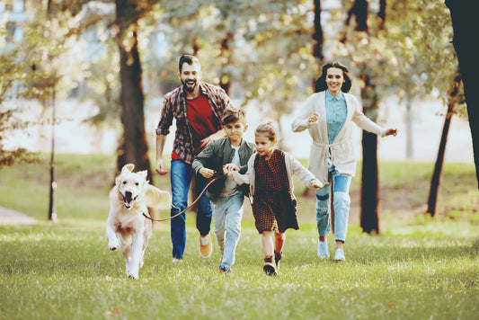 Three Ways to Find Inner Joy in the Midst of Family Life