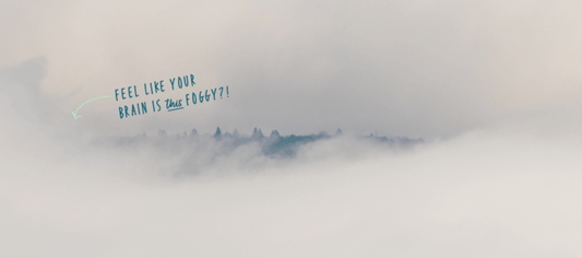 3 SURE-FIRE WAYS TO BANISH BRAIN FOG & BOOST FAMILY CONNECTION