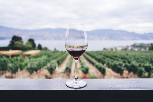 Why Learning Virtue is Like Tasting Wine